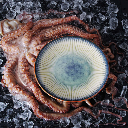 Talerz do pasty Galaxy 260 mm