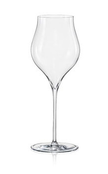 Kieliszek do win musujących 500 ml Linea Umana