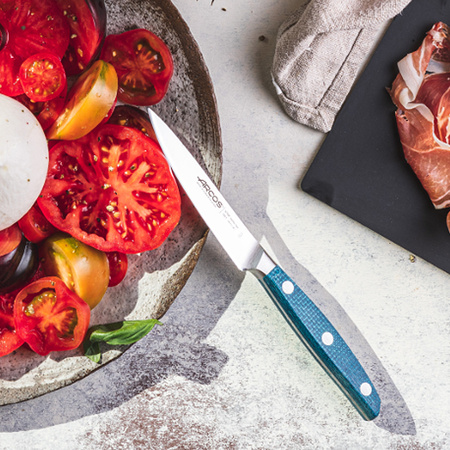 BROOKLYN NÓŻ RZEŹNICKI ELASTYCZNY 170 MM