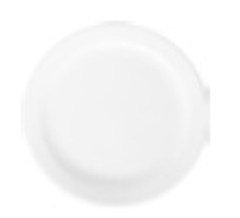 Talerz płytki wąski rant 240 mm Prime