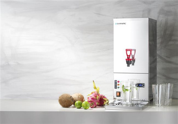 Automatyczny, przepływowy warnik do wody Evergreen Barmatic