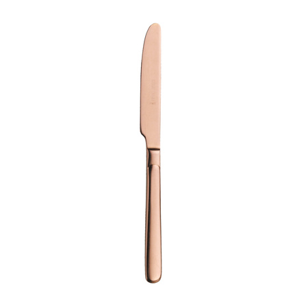 Nóż stołowy 216 mm Casali Bronze