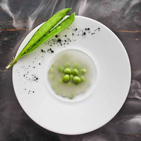 STYLE TALERZ PŁASKI BEZ RANTU ŚR. 250 MM