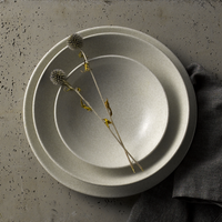 EVO ORIGINS FAWN WHITE Talerz płytki Coupe 260 mm/12 szt