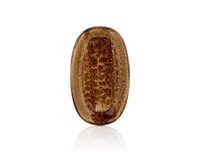 COWRY YELLOW TALERZ OWALNY 190X110 MM